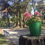 Nisteri Seaside Apartment Glifada (Thasos)