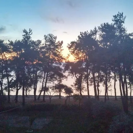 Nisteri Seaside 公寓 Glifada (Thasos)