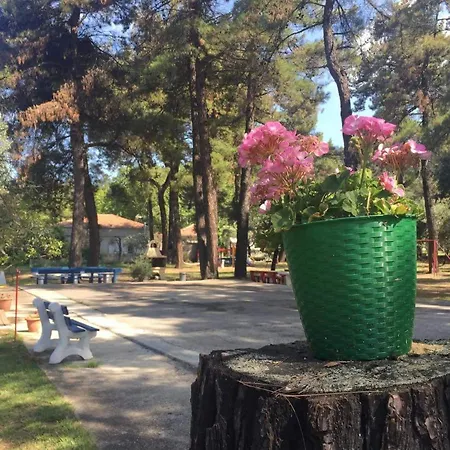 Nisteri Seaside Apartamento Glifada (Thasos)