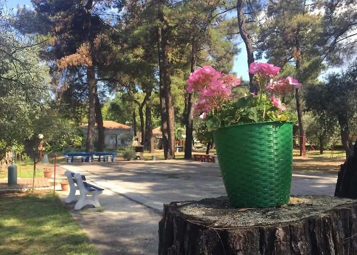 Nisteri Seaside Daire Glifada (Thasos)