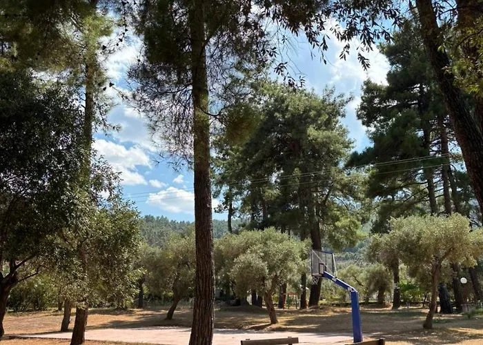 Nisteri Seaside * Glifada (Thasos)